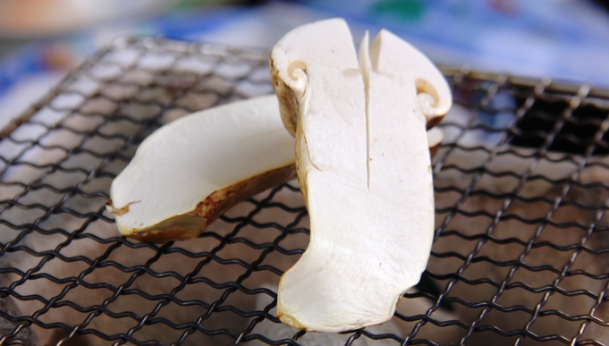 22年 全国の松茸狩り体験ができるスポット 料理付きプランやお得なバスツアーでも 農業 ガーデニング 園芸 家庭菜園マガジン Agri Pick 22年 全国の松茸狩り体験ができるスポット 料理付きプランやお得なバスツアーでも 農業 ガーデニング 園芸 家庭菜園マガジン Agri Pick